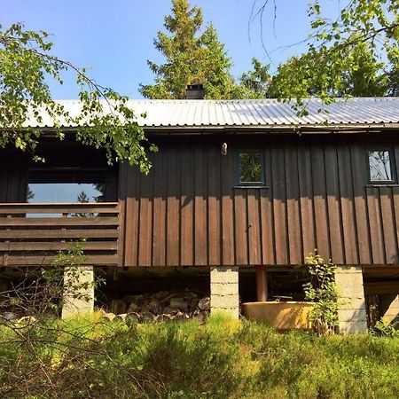 Skogheim Two-Bedroom Cottage Birkeland Buitenkant foto